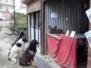 ???????????????????????????????